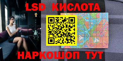 apvp Владимир