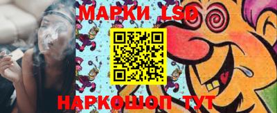 apvp Владимир
