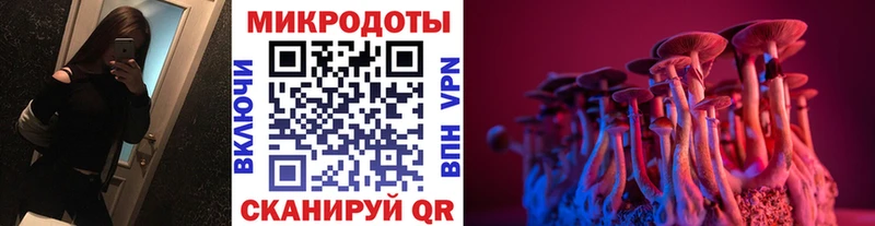 Галлюциногенные грибы Psilocybine cubensis  наркотики  дарк нет какой сайт  Новомосковск  hydra ссылка 