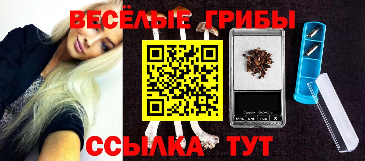 Псилоцибиновые грибы Cubensis Новомосковск