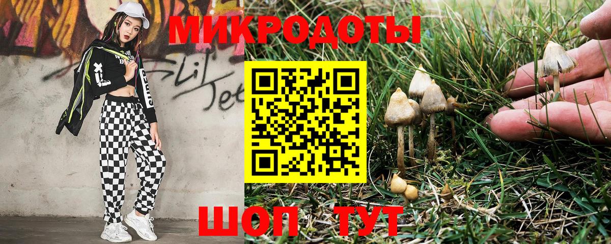 Новомосковск  Псилоцибиновые грибы мицелий  Псилоцибиновые грибы MAGIC MUSHROOMS  Вход с VPN 